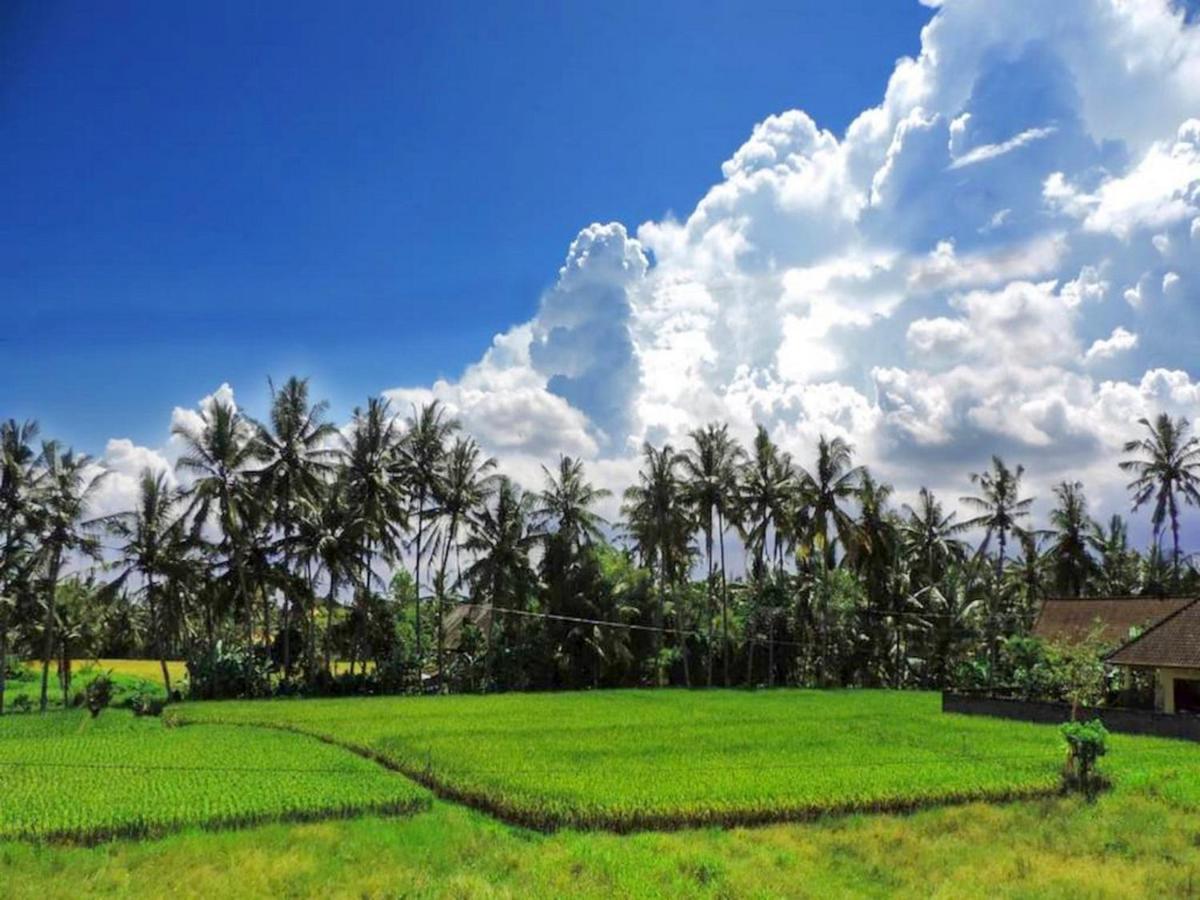 Pondok Ayu Soca Ubud  Exterior photo